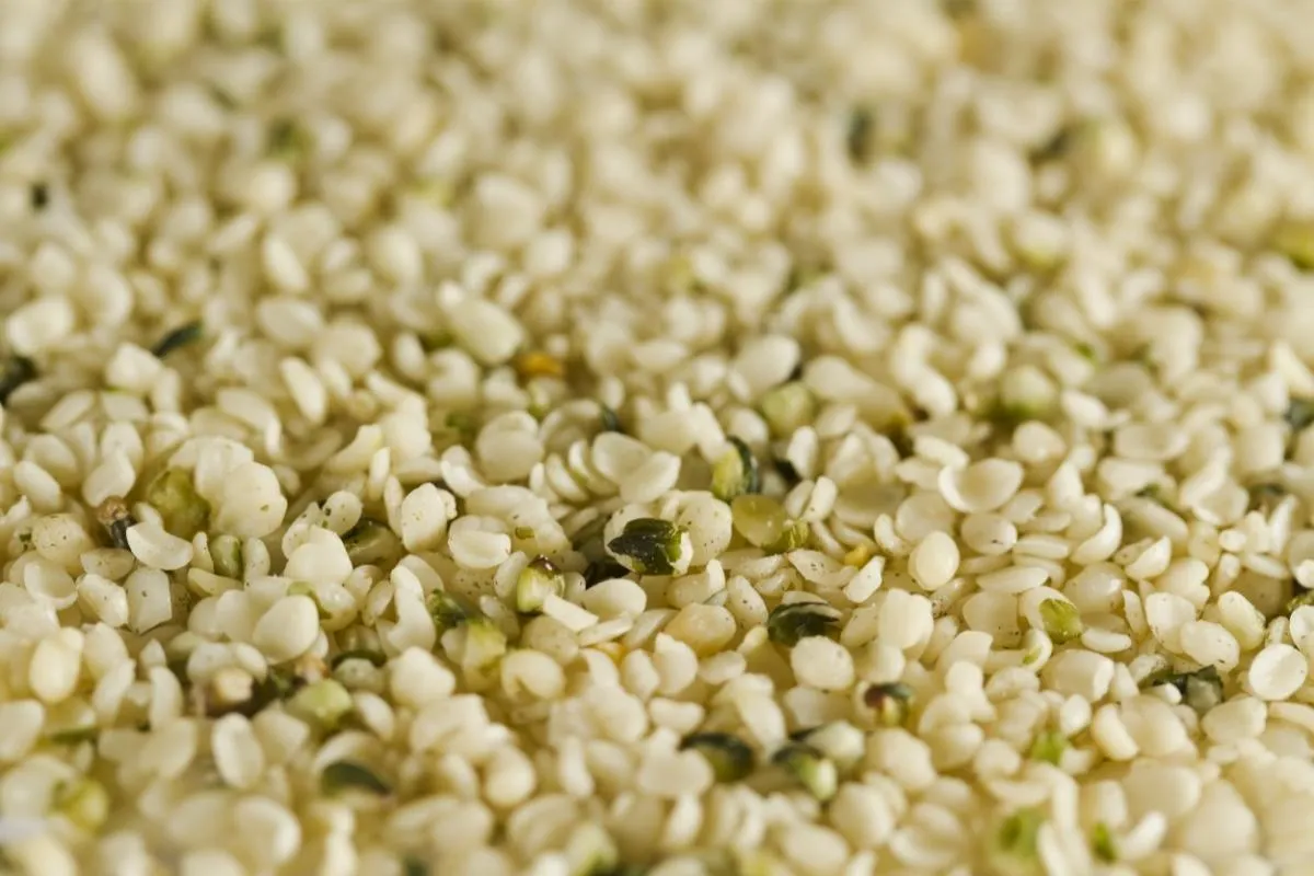 Shelled Hemp seeds