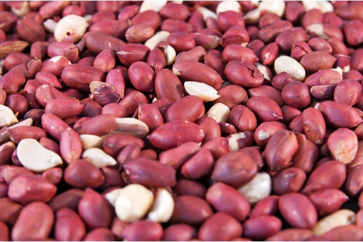 Roasted red skin peanuts