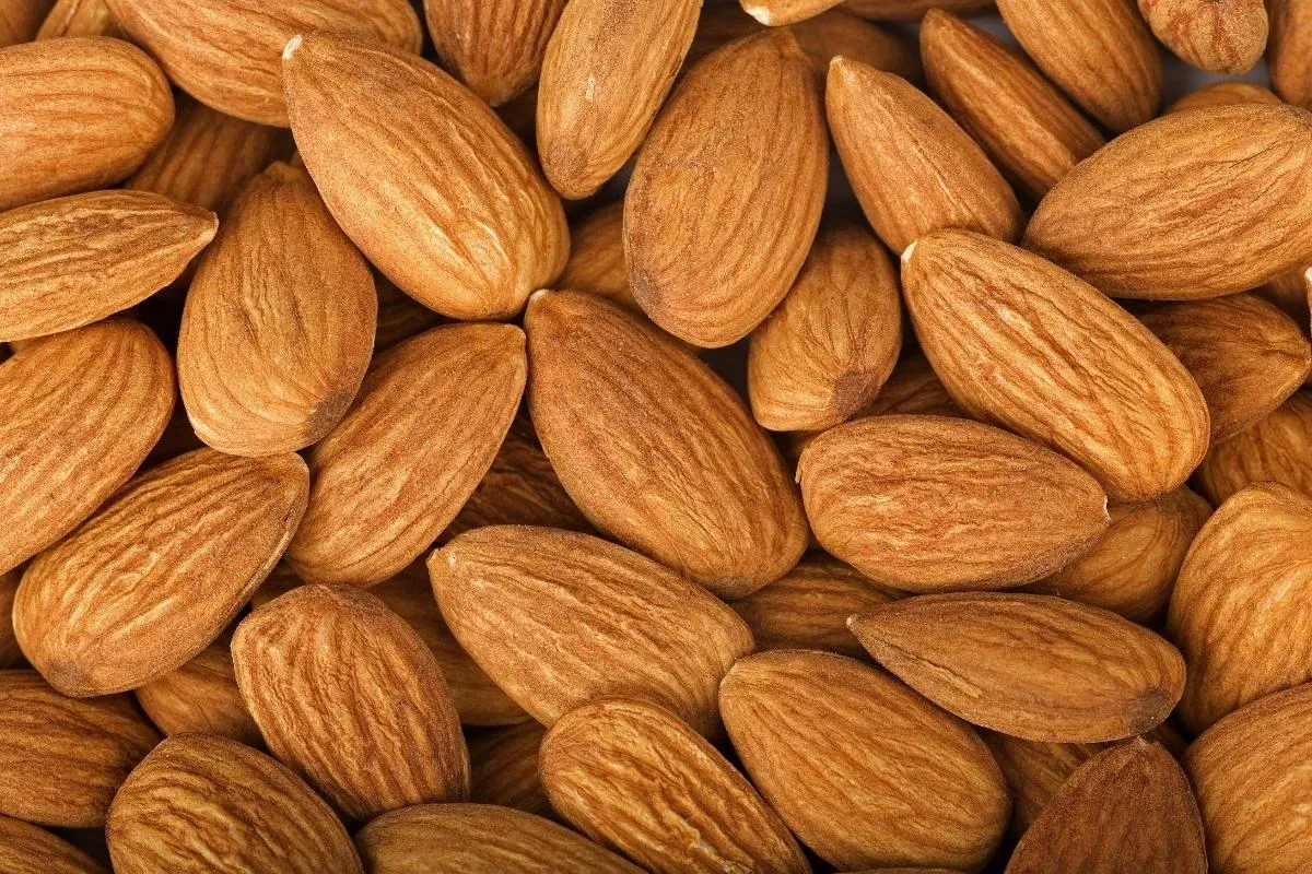 almond kernel 1200