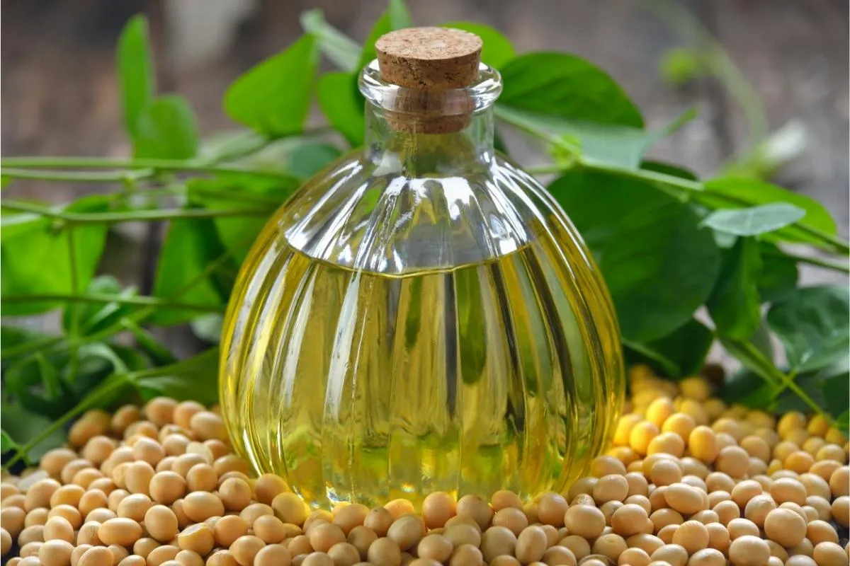 soy bean oil 1200