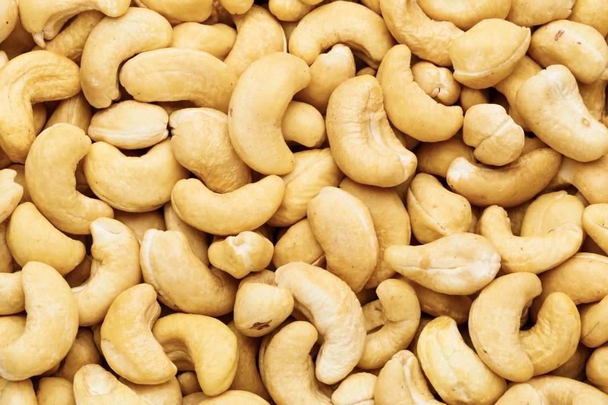 cashew nut without shell